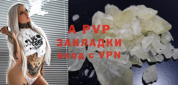 твердый Магас
