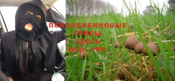 первитин Медногорск