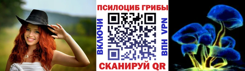 Галлюциногенные грибы Psilocybe Зарайск
